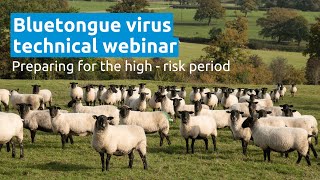 Bluetongue Virus  Preparing for the High Risk Period  AHDB Webinar [upl. by Romaine]