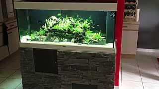 Aquarium planté JUWEL RIO 240 [upl. by Anerec]