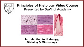 Introduction to Histology Staining and Microscopy [upl. by Albric]