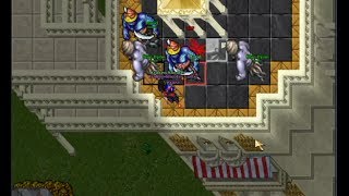 Tibia Hunting guides 33 Paladin 80 Blue Djinns [upl. by Sahcnip421]