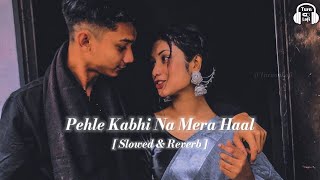 PEHLE kABHI NA MERA HAAL  SLOWEDREVERB lofimusic lofiterending lofihiphop lofisong lofisong [upl. by Aneeuqahs830]