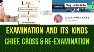 Examination and Its Kinds I Examination in Chief Cross Examination Re Examination [upl. by Paten]