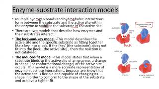 Difference bw Lock and key amp Induced fit hypothesisapbiology ibbiology neetbiology enzymes [upl. by Airod832]