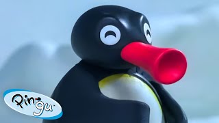 Pingu the problem solver 🐧  Pingu  Official Channel  Cartoons For Kids [upl. by Timmy]