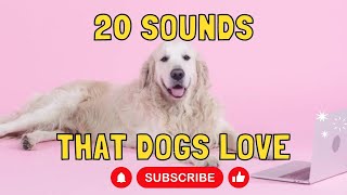 20 Sounds that Dogs Love [upl. by Annaiviv]