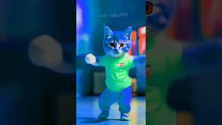 Cats dance catt 😁😺 cute dancingcat funny kittenyoutubeshorts viralshorts [upl. by Enaz49]