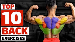 Top Trainers Agree These are the 10 Best Exercises for Building a Bigger Back [upl. by Zalea194]