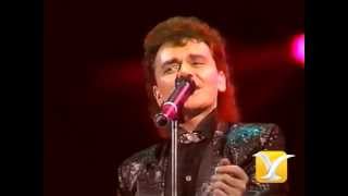 Air Supply Lonely Is the Night Festival de Viña 1987 [upl. by Kress]