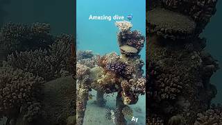 Mashrabas Underwater Wonders Sculptures Lionfish Pufferfish amp More 🐠✨ [upl. by Annadiana810]