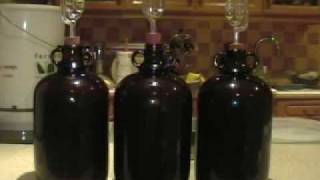 How to Make Wine from Grapes at Home [upl. by Aridaj]