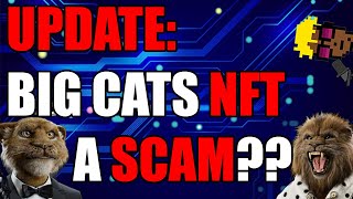 Update Is Big Cat NFT a Scam [upl. by Sair]