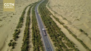 Un ambicioso proyecto chino de reforestación transforma el desierto de Taklamakan [upl. by Dweck45]