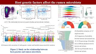 iMeta  Genome and transcriptome to uncover the host–microbiome interactions in rumen methanogenesis [upl. by Zoi]