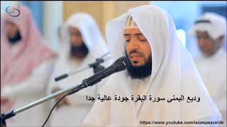 Best Recitation of Surah Al Baqarah By Wadi Al Yamani [upl. by Boswell24]