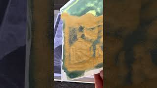 Making a cyanotype with sand artprocess cyanotype sand art [upl. by Atinniuq977]