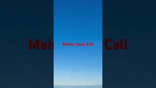 Maine Loon Call [upl. by Earahs958]