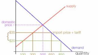 How to calculate the impact of import and export tariffs [upl. by Ahsikahs]