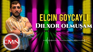 Elçin Göyçaylı  Dilxor Olmuşam 2021 Official Audio [upl. by Afas]