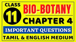 11th Bio Botany Chapter 4 important Questions  11th Biology important Questions 2022  Kalvi Tube [upl. by Itnaihc]