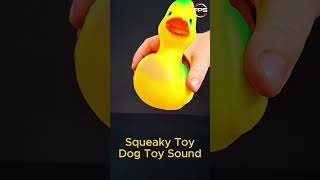 Squeaky Toy Duck Toy Sound for Dogs dogsound dogs [upl. by Nappy446]