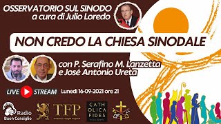 Non credo la Chiesa sinodale [upl. by Storer]