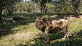 Animalia Survival  Pride Hunts Hippo [upl. by Hung311]