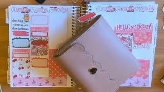 Plan With Me Pretty Cute Planner  B6 PrintPression  July 8  14 Voiceover [upl. by Burck]