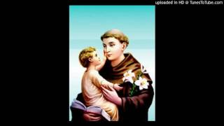 St Antonys novena malayalam [upl. by Eelime]