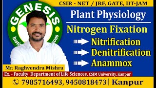 Nitrification  Denitrification Plant PhysiologyCSIR NETJRF  GATE  Life science  ICMR IITJAM [upl. by Eimia480]