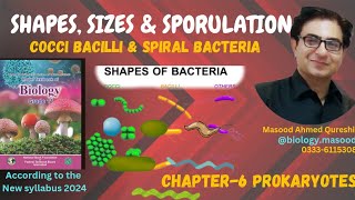 Bacteria Shapes Sizes and Endosporesporesquot  Federal Board Pakistan NBF 2024 [upl. by Zuleika]