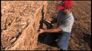 Miscanthus Harvest 2011 Haven KS USA [upl. by Robi]