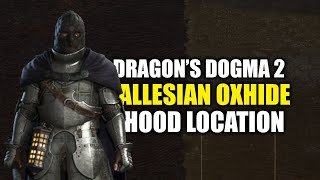 Dragons Dogma 2  Allesian Oxhide Hood Location Fighter Thief amp Warrior [upl. by Ailyn815]