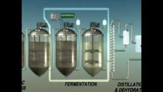 Biochemical Conversion of Biomass to Biofuels [upl. by Airetas]