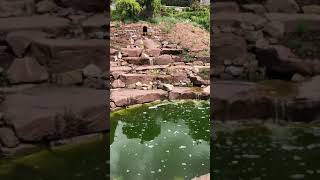 The grounds and gardens of Berkeley castle in Gloucestershire  England [upl. by Nrubua409]