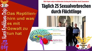 Podcast 19 Das Reptilienhirn  Gewaltursachen [upl. by Cox]