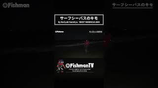 サーフシーバスのキモ Fishman シーバス ベイトロッド [upl. by Naggem830]