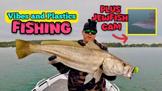 Lure fishing Lake Macquarie catching Jewfish an Flathead PLUS JEWFISH Cam [upl. by Ahusoj957]