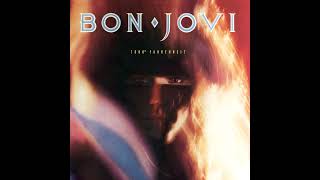 Bon Jovi  In And Out Of Love [upl. by Alakcim]