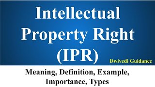 Intellectual Property Rights IPR Meaning Definition Examples Benefits of IPR UPSC NCERT Bba [upl. by Mattie]