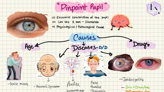 Pinpoint pupil  pathophysiology  Causes  Pharmacology in Bangla [upl. by Bohon]