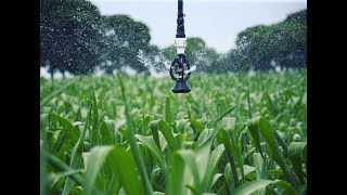 Senningers iWob Sprinkler Guide  Everything You Need to Know [upl. by Andres]