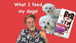 What Do I Feed My Dogs Science Diet Wellness Orijen [upl. by Doerrer]