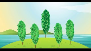 Poplar for Recycled Water Reuse and Phytoremediation [upl. by Suirtimid]