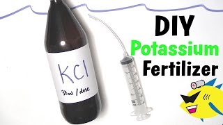 How To Make DIY Aquarium Plant Fertilizer Potassium [upl. by Calvano655]