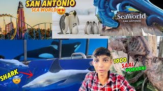 San Antonia Sea world Gya Ta Whale 🐳 Ne poora Geela Krdia  USA VLOG [upl. by Georgeanna798]