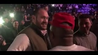 Shannon Briggs FACE TO FACE with Tyson Fury at Anthony Joshua fight [upl. by Lorne]