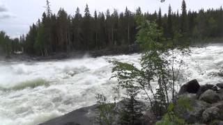 112 Storforsen Naturreservat  Mit dem Wohnmobil nach NordSchweden [upl. by Johathan]