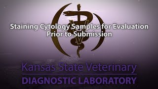 Staining Cytology Samples for Evaluation Prior to Submission [upl. by Dnarb11]