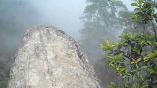 Dolphin Nose  Kodaikanal [upl. by Sulrac]