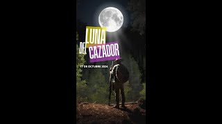 Luna del Cazador 17 de octubre 2024  Cómo Aprovechar su Energía para Transformarte [upl. by Enitsirk429]